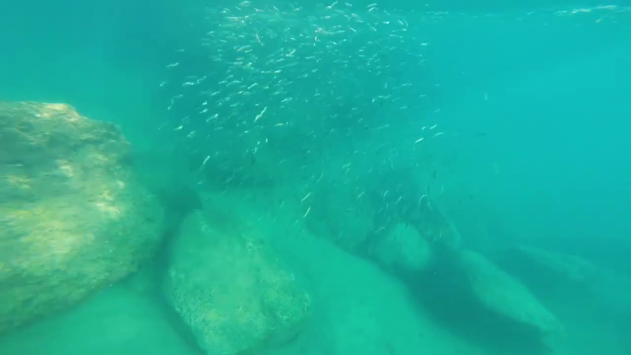 Turquoise Mediterranean Underwater – Calming Fish Shoals & Meditative Music