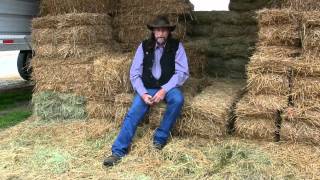 Straw or wood shavings ? Which is best for your Horse ? stall13.com videos .