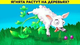 Странности, в Которые Верили Люди