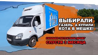 ВЫБИРАЛИ ГАЗЕЛЬ А КУПИЛИ КОТА В МЕШКЕ!  СКОЛЬКО ПОТРАТИЛИ ДЕНЕГ СПУСТЯ 3 МЕСЯЦА