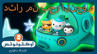 أوكتونوتس | 🧶 دثار من بحر النجوم ✨🌊 | حلقات مجمعة