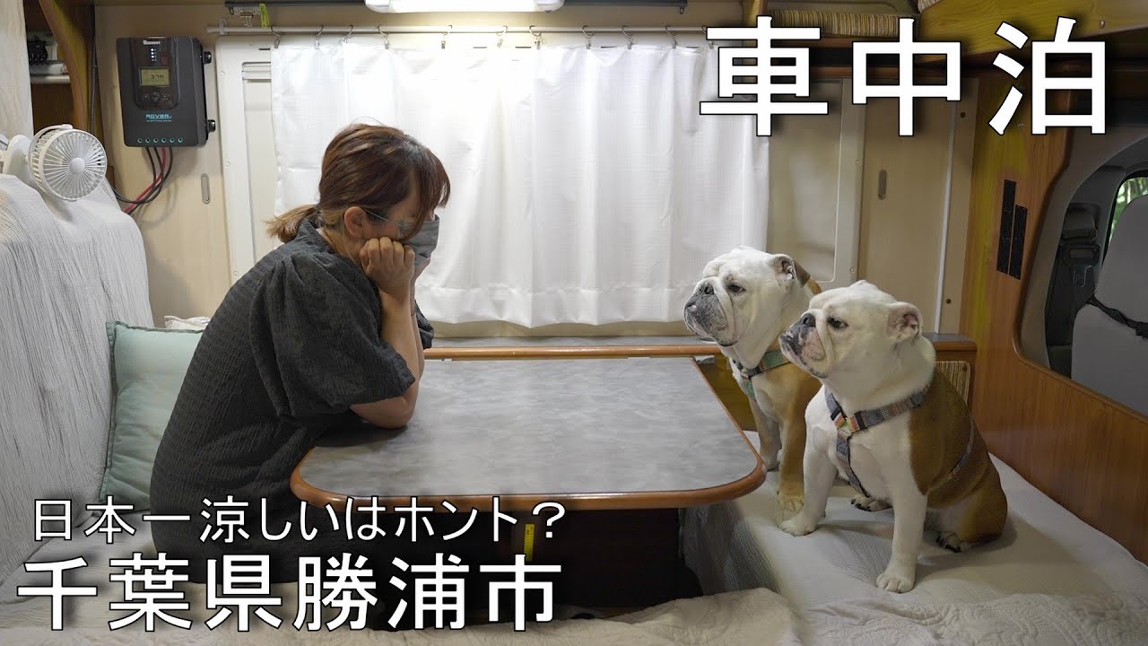 暑さに激弱な愛犬と「日本一涼しいで有名な勝浦市」で車中泊！愛犬は無事快適に過ごすことが出来るのか？