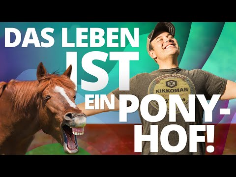 Das Leben ist ein Ponyhof! | Wie Du durch Routinen alles schaffst