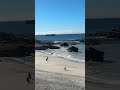 Observing Penguins, Boulders Beach, South Africa, Contiki from bella d. 🐧