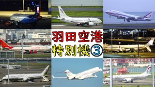 【即位礼正殿の儀】羽田空港に飛来した特別機③ 10/23.24
