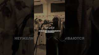Чтец Мухаммад ал Лухейдан #quran #коран #напоминание