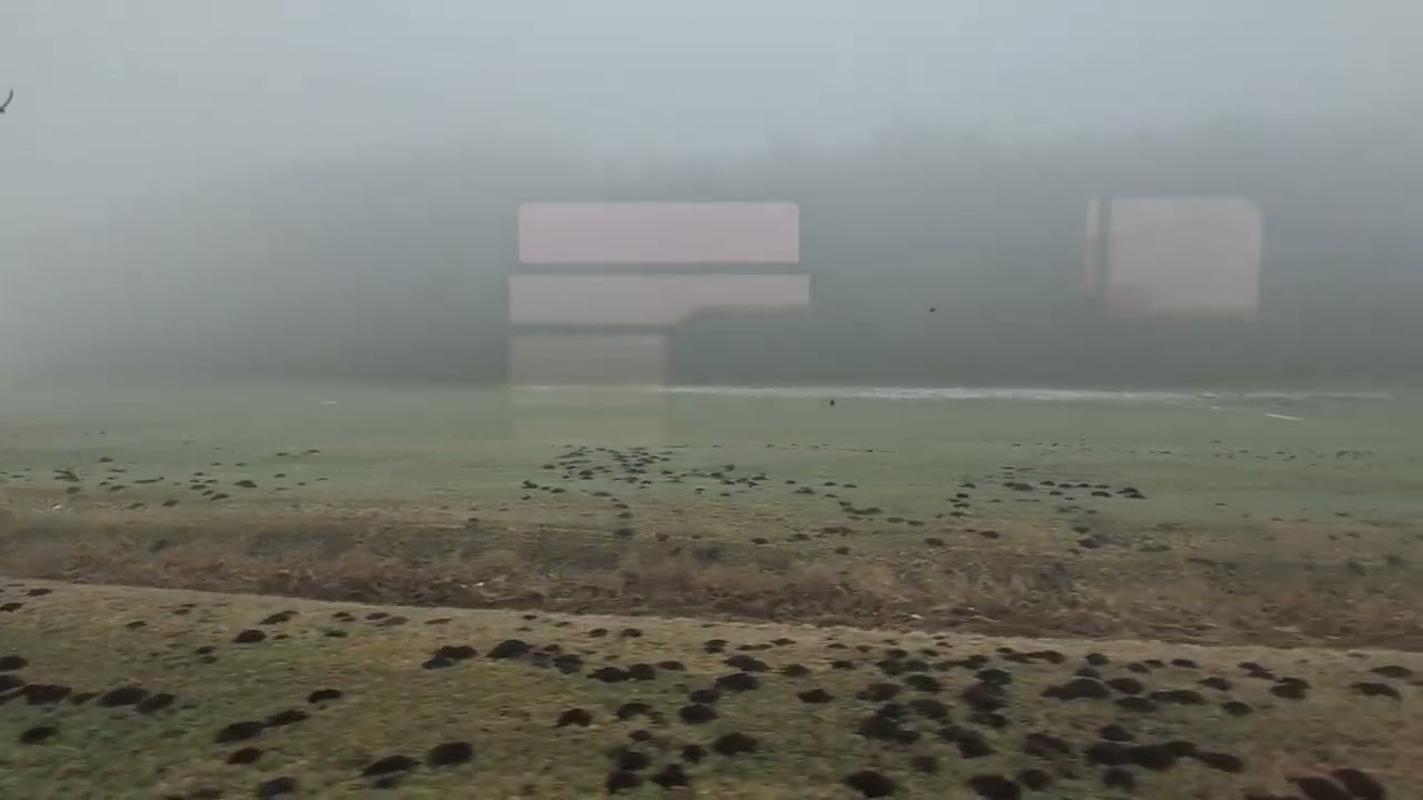 RB 52 von Aschau am Cimgau nach Prien am Chimsee 