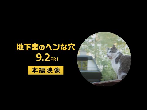 9/2(金)全国公開『地下室のヘンな穴』本編映像初解禁！可愛すぎる！ナゾ猫シーン