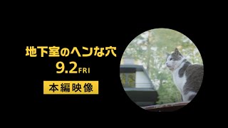 『地下室のヘンな穴』本編映像