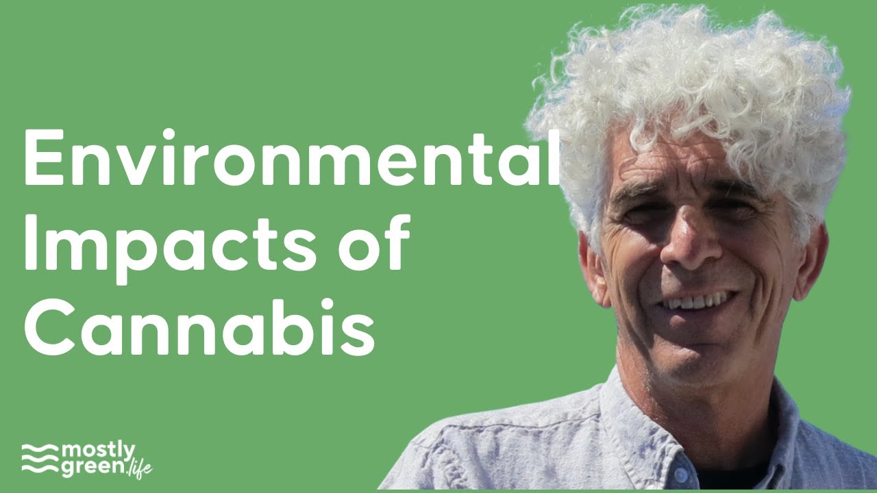 The Environmental Impacts of Cannabis Growing with Shawn Cooney of Sustainable Cannabis Coalition