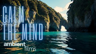 Ambient New Zealand, Sea Caves Serenity Tranquility :: ASMR