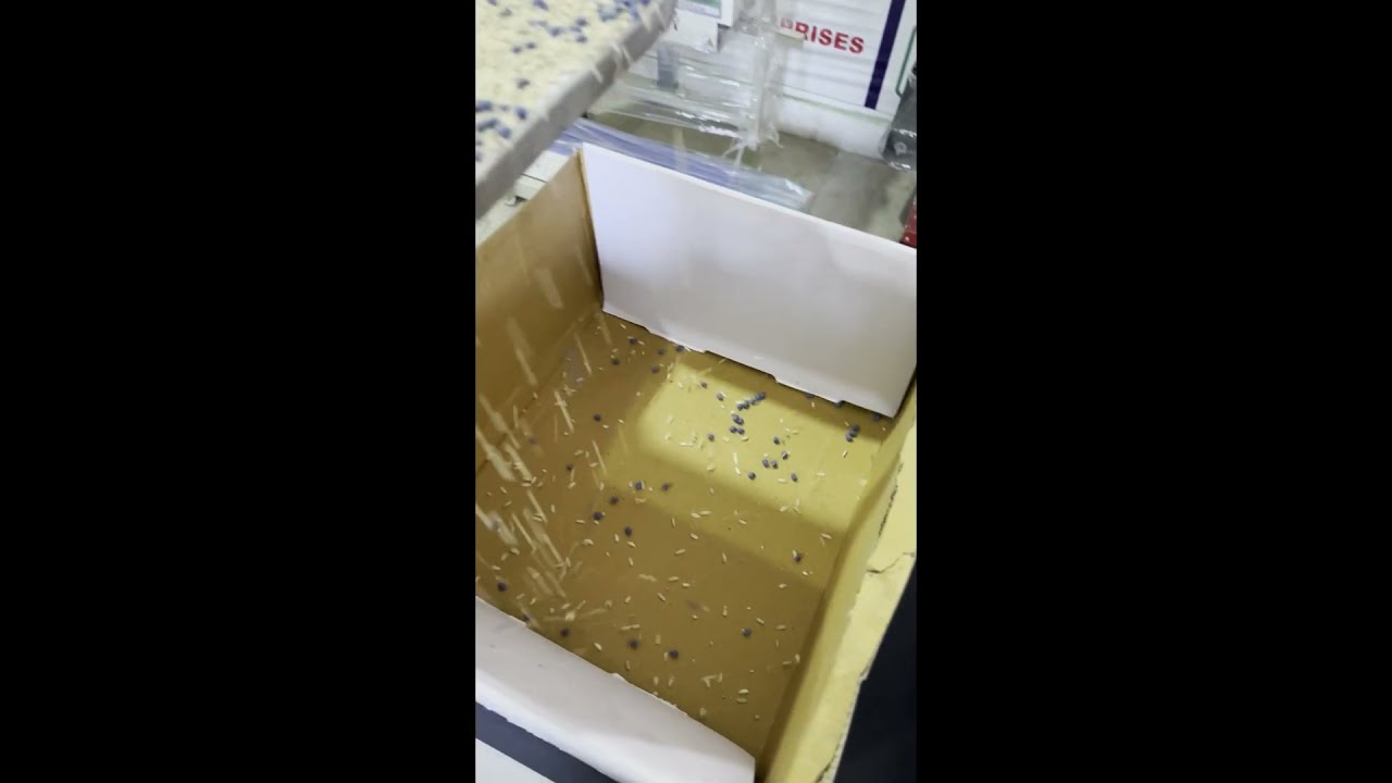 MAGICPACK 8 TON VIBRATOR FEEDER WITH CONTROLLER | 