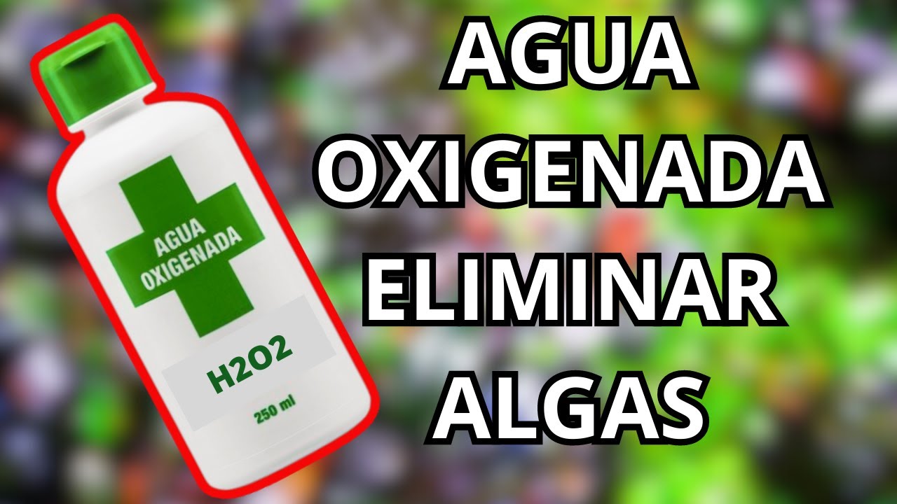 AGUA OXIGENADA CONTRA ALGAS EN ACUARIO, ¿SI O NO? !!!CUIDADO!!!