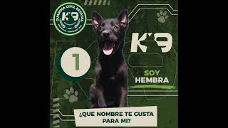 POTOSINOS PONDRÁN NOMBRE A LOS NUEVOS HÉROES CANINOS DE LA GUARDIA CIVIL ESTATAL.