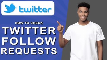 How to check twitter follow requests (2024)