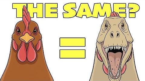 Are All Birds Dinosaurs?