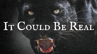 The Dark Reality Behind Britain’s Big Cat Folklore