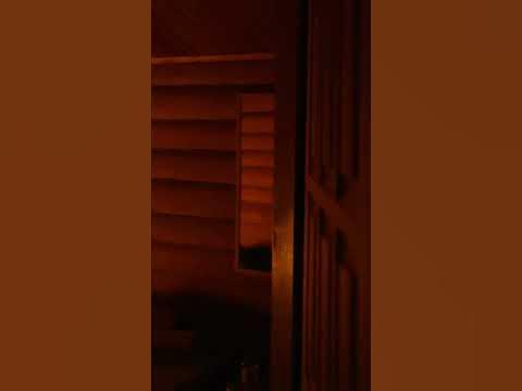 Охота на тигра - YouTube