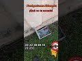#fumigacion #controldeplagas #domicilio #servicios #roedores #limpieza #plagas #viralvideo #shorts