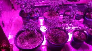 Quick indoor update