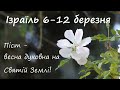 Великий Піст на Святій Землі. Паломництво в Ізраїль 6-12 березня 2023 року.