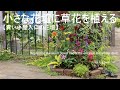 花壇づくり／青い小屋のゲート前 小さな花壇に草花を植える【初夏のガーデニング】-フローラ黒田園芸- Creating a garden / Gardening in early summer