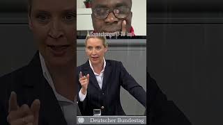 Alice Weidel empört: „Der Bundespräsident hat AfD-Wähler beleidigt!