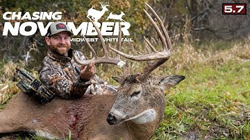 A Rut-Crazed Buck | Wisconsin Brute of a Whitetail | Chasing November