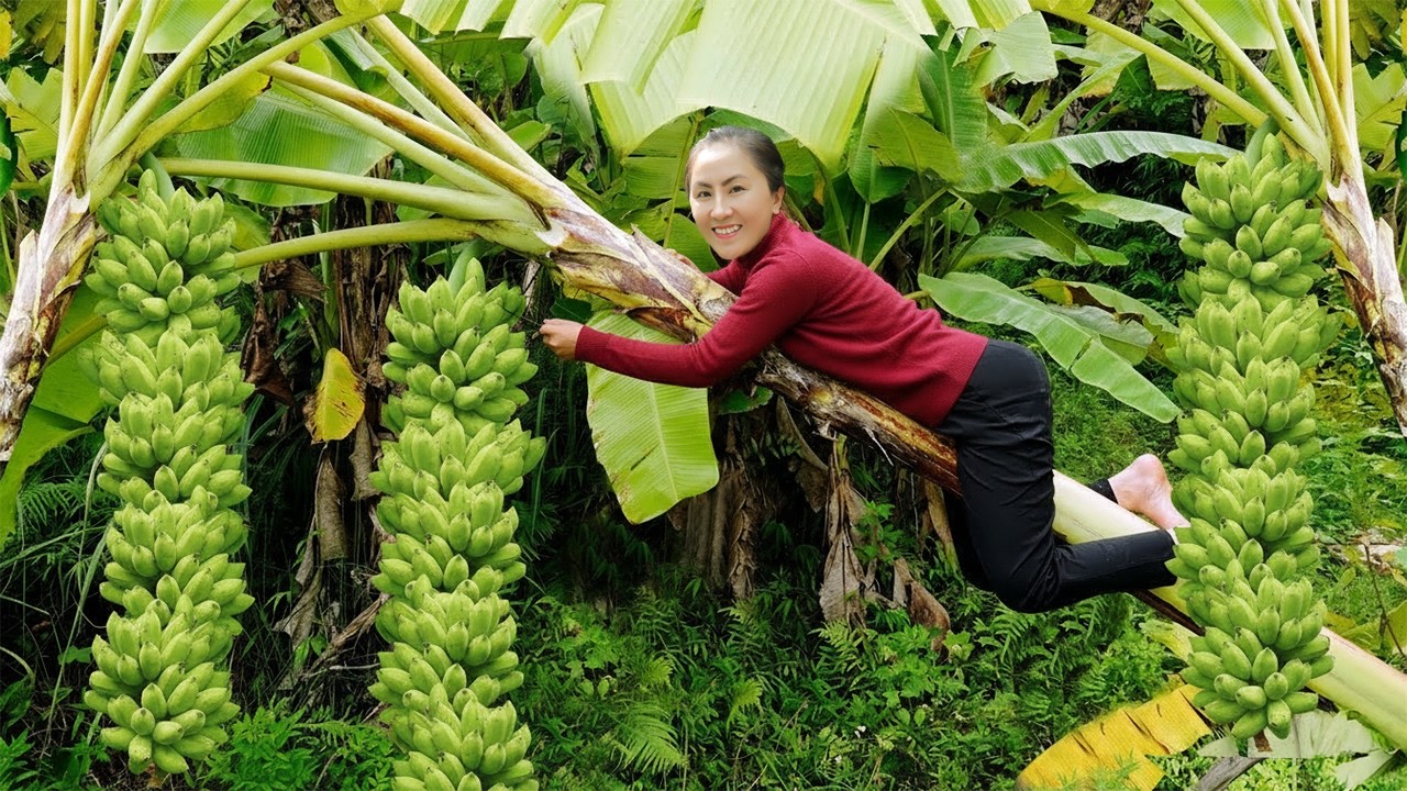 Massive Harvest! Emma Struggles but Succeeds in Bringing Giant Bananas to the Village