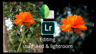 snapseed exposure double background