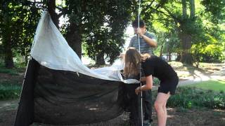 Setting up a Malaise trap