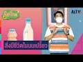 สิ่งมีชีวิตในนมเปรี้ยว | คิดวิทย์