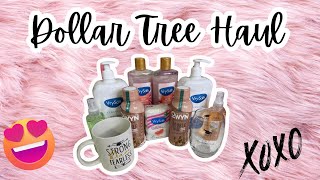INSANE Dollar Tree Finds You Won’t Believe Are $1.25! #dollartreehaul #dollartreefinds