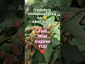 Lunch walk captures #inspiration #crafting #lunchvibes #nature #relaxnightjazz #fallvibes #music
