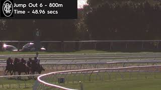 Flemington Jump Outs 18 October 2019 Jump Out 6