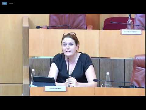 Image du reportage 🎥 Prisentazione di l'amendamentu di u gruppu Corsica Libera. Simoni Pascale (Gruppu Corsica Libera)