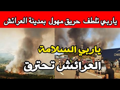 حريق العرايش الان ياربي السلامة حريق مهول بمدينة العرايش اليوم حريق تازة حريق العرائش