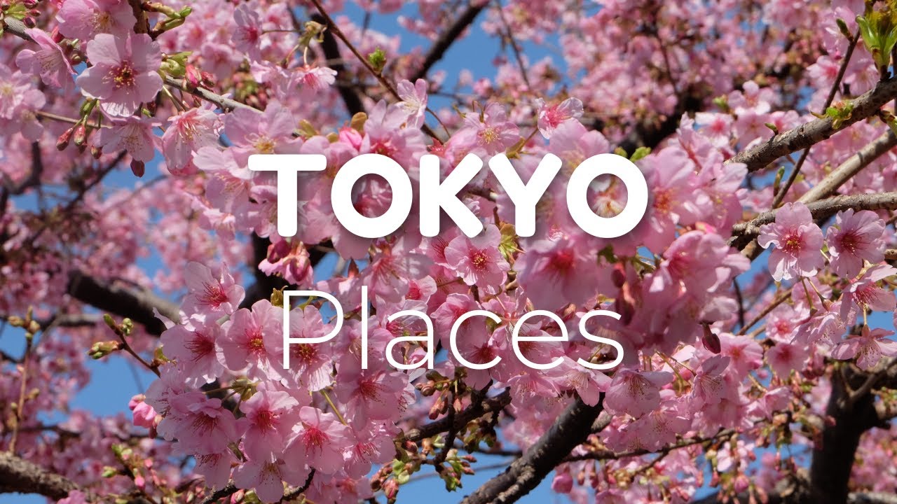 must-see-top-7-best-places-to-visit-tokyo-in-2023-travel-video-youtube