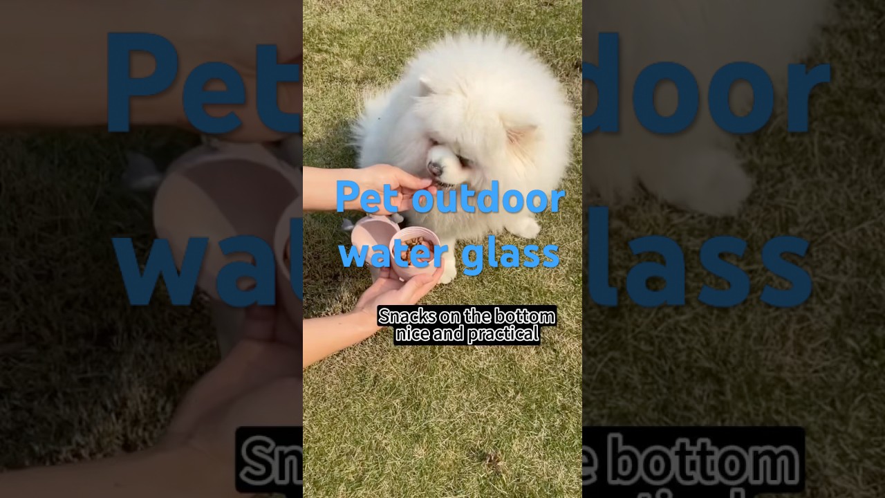 Bring this glass for your pets when walking 🚶‍♀️ or traveling 🫶🏼