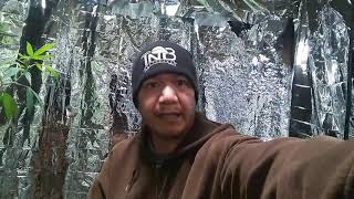 CUZZIN!!! Combo King TNB Naturals video #1 so you want to be sponsored by TNB Naturals