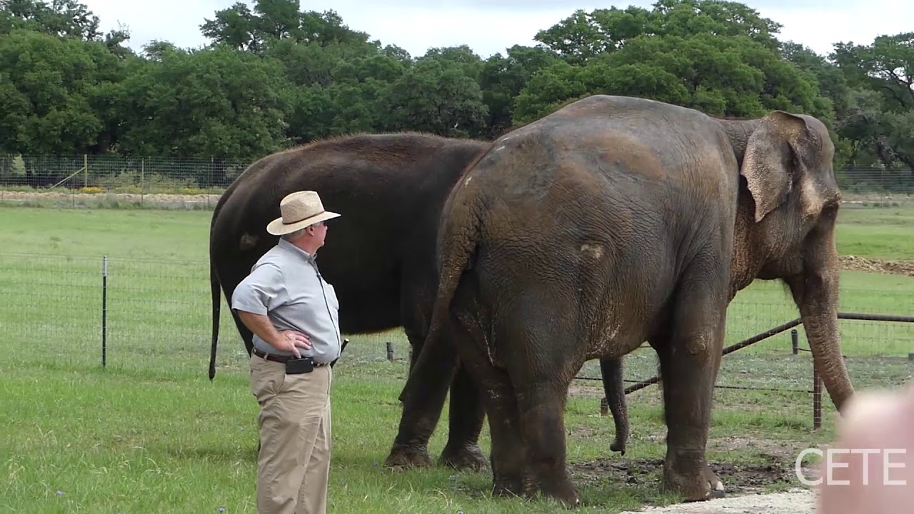 Part 2 The Preserve, Fredericksburg, TX YouTube