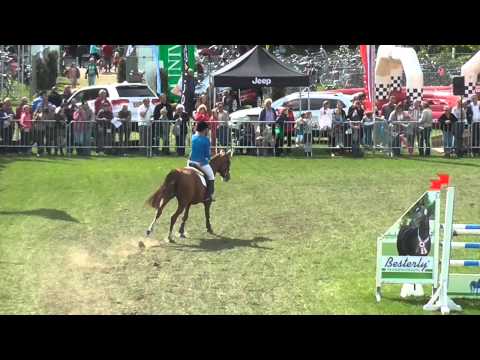 Wimphof's Cheeky v. Lupicor x Grannus @ 1.40m de Grote Prijs van Bennekom, 6th place