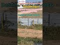 #highway facing open plots for sale in Hyderabad #residential plots in shadnagar Hyderabad