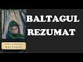 ⛏ Rezumat - Baltagul, de Mihail Sadoveanu-Recitat de Elena Ghiorlan