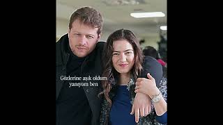 Çari Şacakbudeniz Çfurtuna