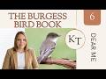 Charlotte Mason Nature Read-Aloud | Eastern Phoebe &amp; Least Flycatcher | Burgess Bird Book Chapter 6