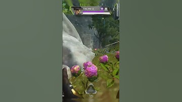 NEW SEER Q IS A GURANTEED KILL EVERYTIME 😂