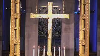 Fourteenth Sunday in Ordinary Time 7-5-26