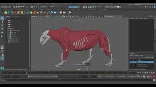 Zeke Ziva Sim Try Layer Three