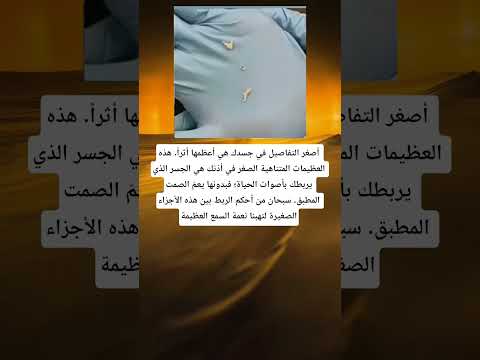 أصغر التفاصيل في جسدك هي أعظمها أثرا هذه العظيمات المتناهية